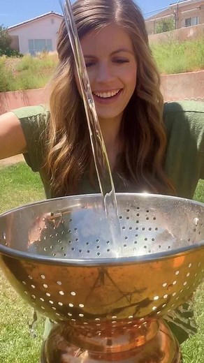 Thrift store collander and a plastic bag made for the cutest little planter 🥰🪴 #pottedplants #pottinghack #plantsoftiktok #planttherapy #viral #fyp