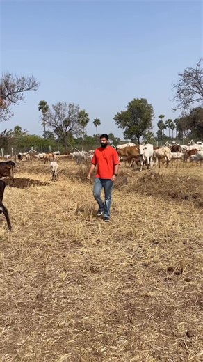 Vamsi Krishna Reddy Patel on Instagram: "Farm Life 🎋🚜"