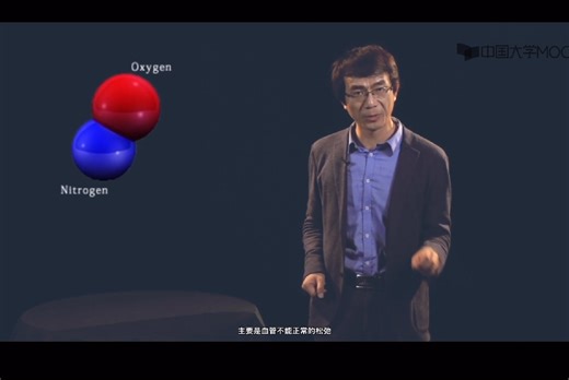 一氧化氮 NO系统动画演示