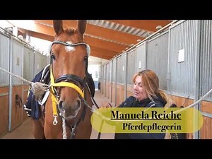 Verdener Auktion | Die Auftaktpräsentation der Auktionspferde | Teil 3 | www.verdener-auktion.com