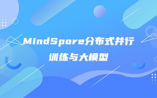 昇思MindSpore实践指南：MindSpore分布式并行训练与大模型