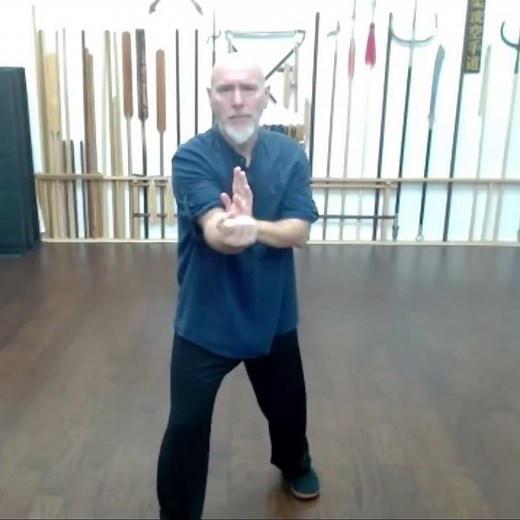Pak Mei - Level 1 - Jik Bo #kungfu