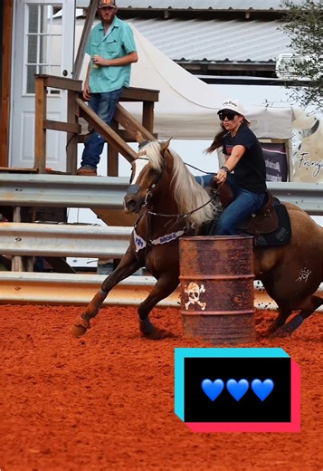 Goose's Epic Side Quest Adventure!