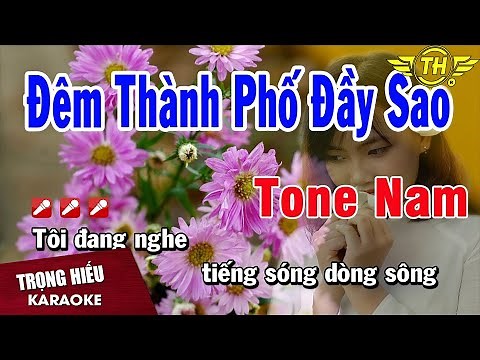 Karaoke Đêm Thành Phố Đầy Tone Nam Nhạc Sống | Trọng Hiếu