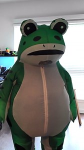Inside the Portland inflatable frog costume, now a symbol of anti-ICE protests