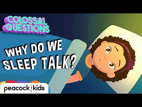 Why Do We Talk in Our Sleep? | COLOSSAL QUESTIONS