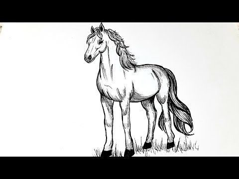 How to Draw a Horse Step by Step | Easy Horse Drawing Tutorial for Beginners