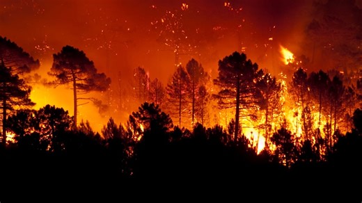 L'Algérie va déployer 140 drones pour détecter à temps les départs de feu