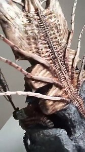 We don't know the artist yet, but if he/she see this post, comment so we can credit. #predator #AVP #Predatorfanspage #predators | Predator Fanspage