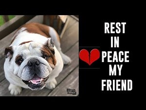 THE SADDEST VIDEO EVER ON MY CHANNEL