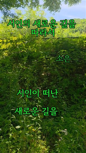 윤동주 '새로운 길'을 따라서🌹시인을 따라 희망에 닿다♡