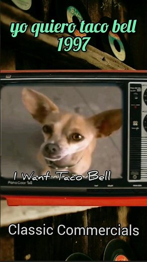 Taco Bell Talking Dog
