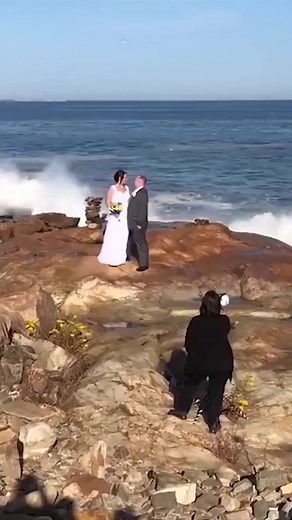 wedding fails wedding fail wedding fail videos 2022 funny videos 2022 funny fails 2022 fails funny fail videos fail videos daily dose of laughter dail