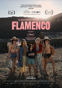 La Misteriosa Mirada Del Flamenco