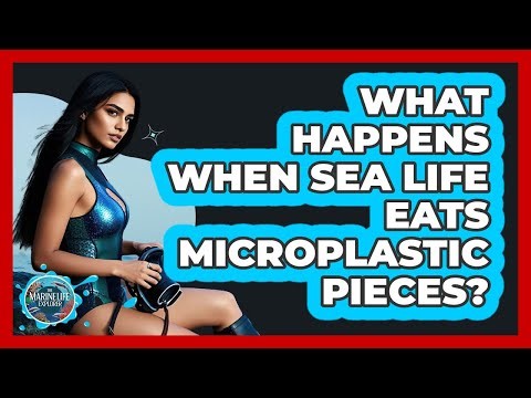 What Happens When Sea Life Eats Microplastic Pieces?