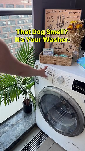 Washer Odor Fix: Simple Steps to Make Your Washer Smell Fresh