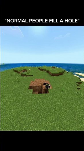 Filling Every Hole in Minecraft (Satisfying Build!)