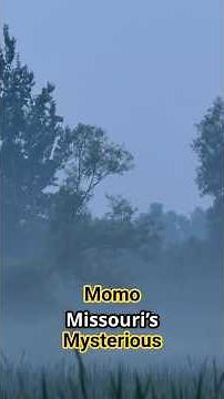 MoMo Missouri's Mysterious Monster!