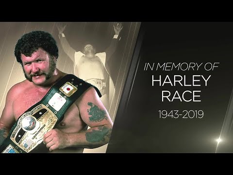 Harley Race Studio Shoot Interview DVD (Complete - FREE!) wwe wwf nwa hall of fame