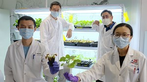 1.6K views · 55 reactions | 'Communicating' with plants  using...