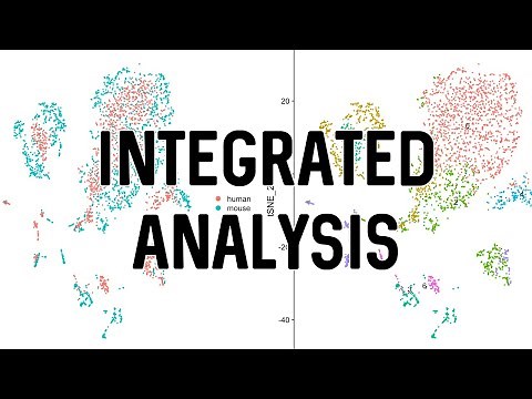 Integrated Analysis | scRNA-Seq Analysis in Seurat