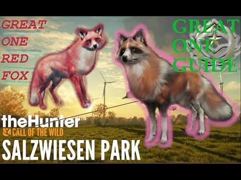 RED FOX GUIDE Salzwiesen Park (Island Method) | theHunter Call of the Wild