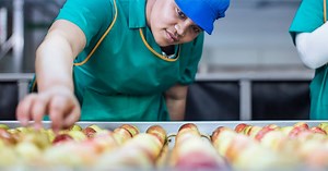 Why Deskless Workers Are Leaving—and How to Win Them Back