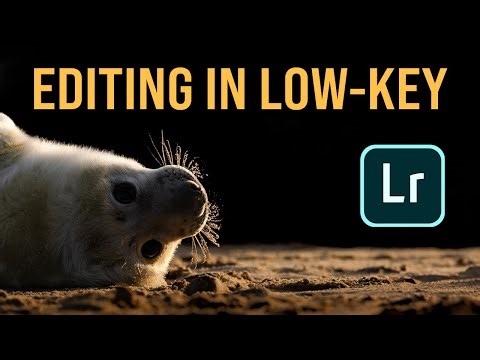Adobe Lightroom: Editing in Low Key