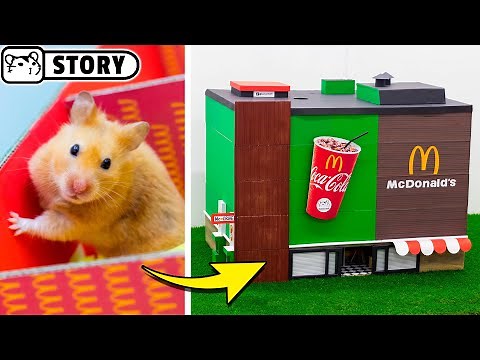 Hamster McDonalds Maze in real life 🍔 Homura Ham