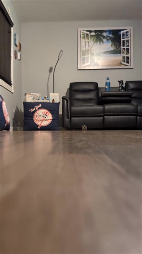 17 reactions | Hedgehog cuteness overload! 璉❤️ 294 : Rate this clip 0–10 if you’re a true hedgehog lover!  #Hedgehog | Meet My Hedgehog | Facebook