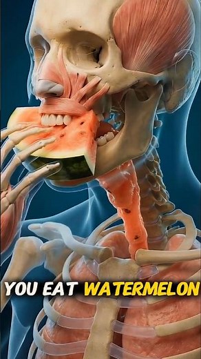 You Eat Watermelon on an Empty Stomach? THIS Is What Happens Inside Your Body 🍉😳