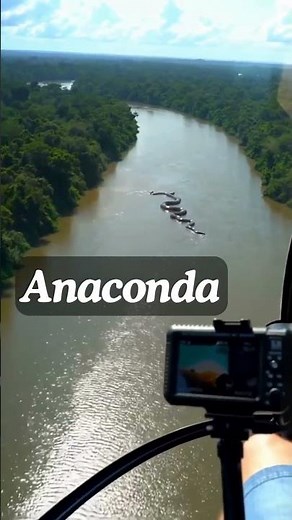 #anaconda in Action 🐍 | Mind-Blowing Python Moves!