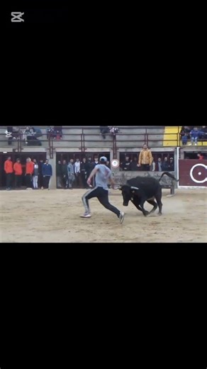 TARDE DE ENFUNDADAS DE SERGIO RUA EN OROPESA DEL MAR 🐂#festejopopular #fiestabrava #bousalcarrer
