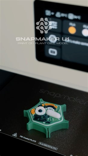 Print 01 - Plant Cell Model