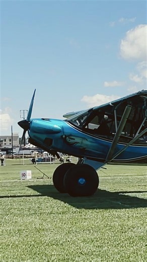 Carbon Cub STOL Scratch 🦈 The Shark Cub !! #stol #aeroplane #aviation