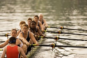 Business Leaders: Row All in the Same Boat