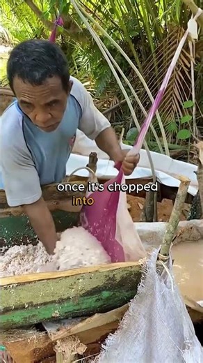 Tree core turned into white powder #satisfying #process