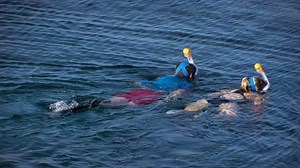 Can You Breathe Underwater with a Full Face Mask? - OpenWaterHQ