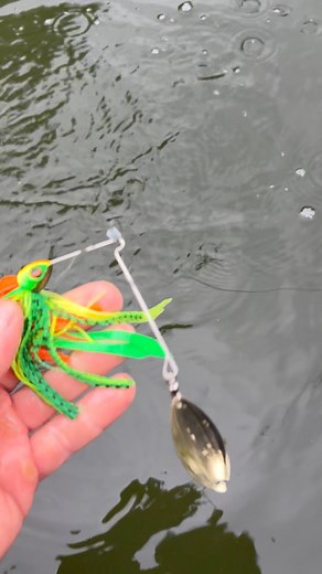 Novi Da LIl Bush spinnerbait je dostupan u Hrvatskoj!!!!🔥🔥🔥💪💪💪 | Savage Gear Croatia