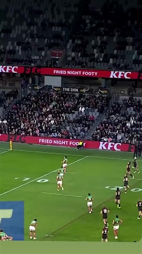 Lilis_Zuchini on TikTok