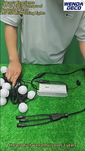 24V G50 Milky String Lights