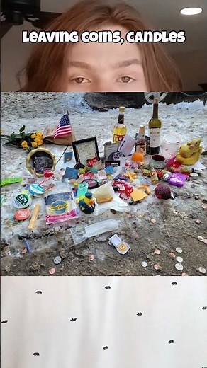 Chicago Rat Shaped Hole