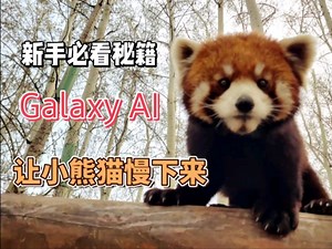 【Galaxy AI】新手必看｜两步操作永久保存自定义慢动作