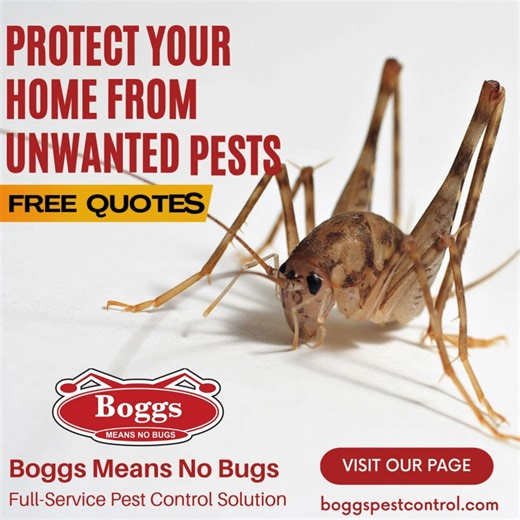 Our family-owned and operated company is proud to provide honest, dependable pest control services at reasonable prices for Southern Indiana and Louisville Metro area residents. Contact Us: https://bit.ly/3dS6ptu | Boggs Pest Control
