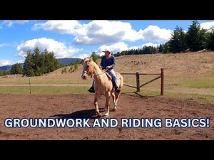 The Basics (Fundamentals) that I teach EVERY horse!