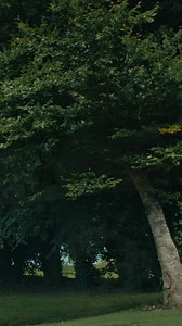 Whatever the weather, great short breaks are guaranteed. Tune in to Weather on RTÉ One and RTÉ Player for all the latest weather updates, proudly sponsored by Fáilte Ireland. | Discover Ireland