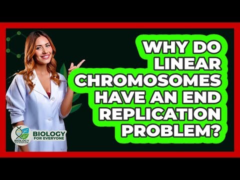 Why Do Linear Chromosomes Have An End Replication Problem? - Biology For Everyone