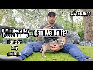 14 Days to Train a Bulldog Puppy: Sit, Stay & Come in 5 Minutes a Day