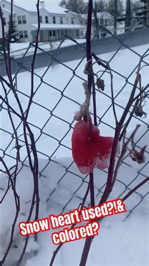 Spray Paint & Snowball Mold Heart