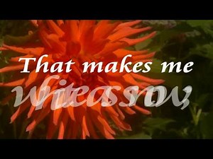 Nothing But The Blood Of Jesus. (music video with lyrics)